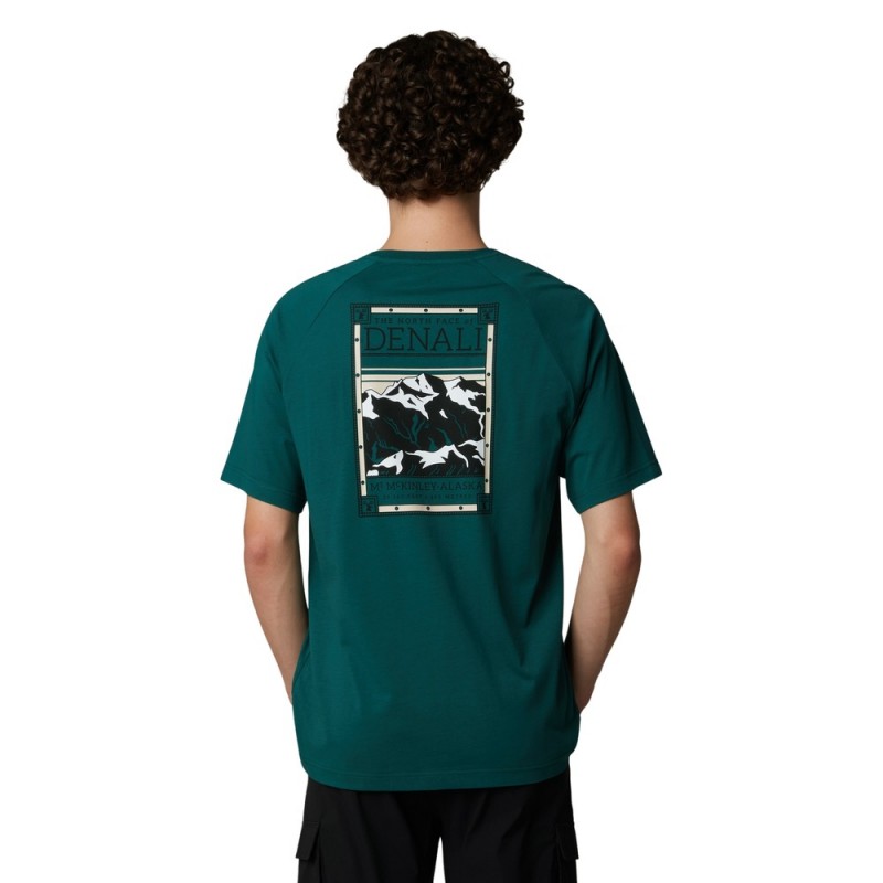 THE NORTH FACE M S/S NORTH FACES TEE