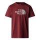 THE NORTH FACE M SS EASY TEE