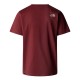 THE NORTH FACE M SS EASY TEE